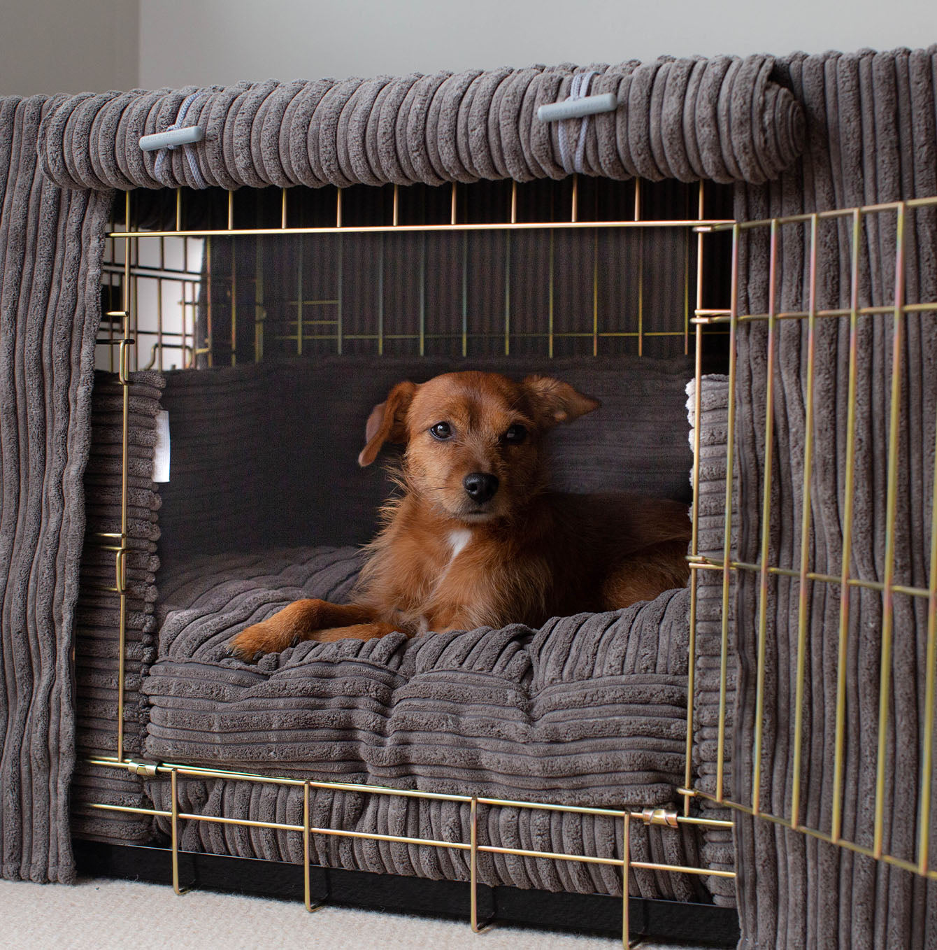 Beautiful view of Dog Crate With Plush Walls