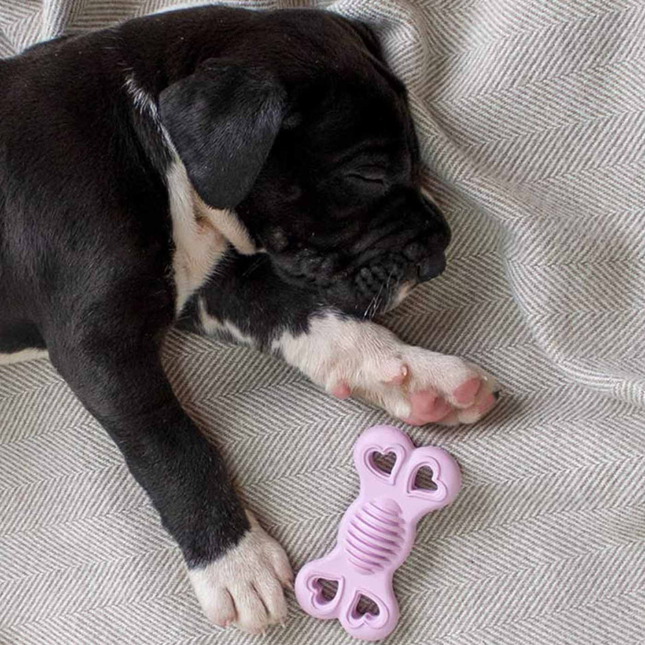 Dog Chew Toys Tough Chewing Toys for Dogs Lords & Labradors