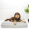 Imperfect Dog Cushion in Savanna Stone by Lords & Labradors
