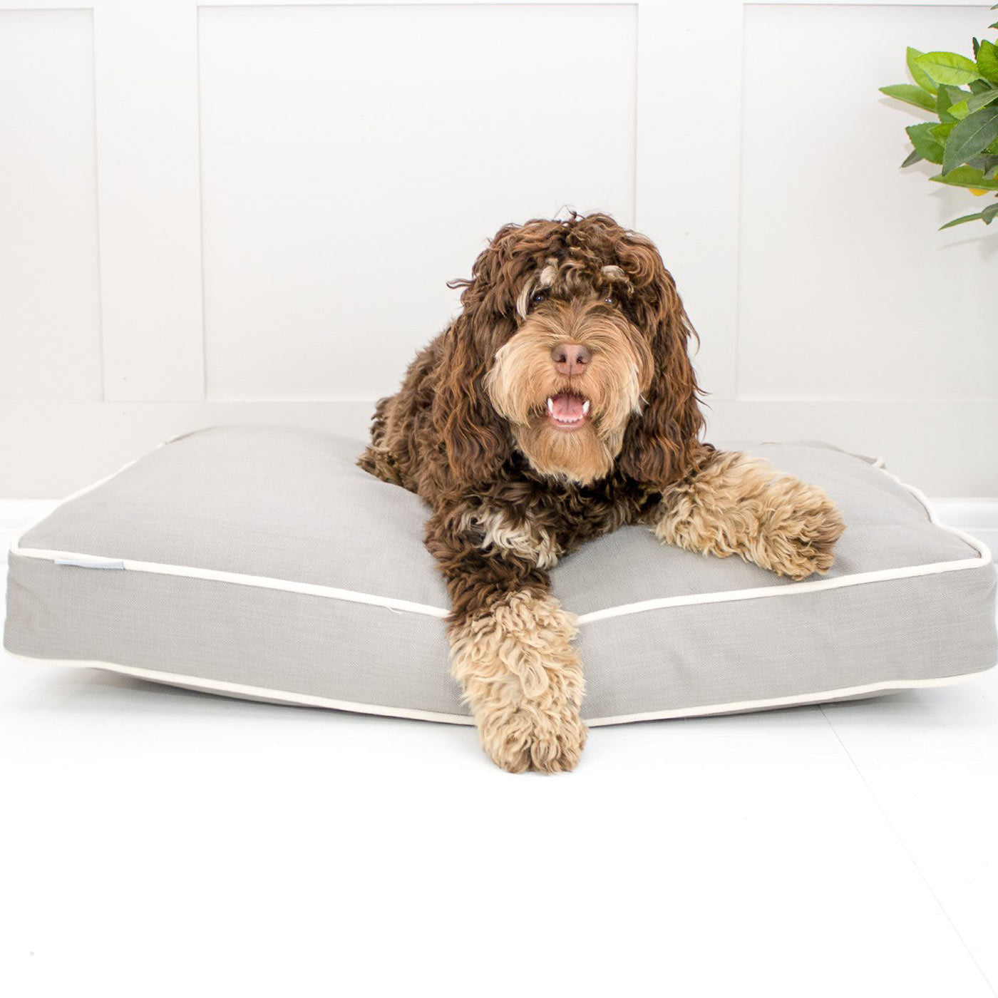Dog Cushion in Savanna Stone by Lords & Labradors