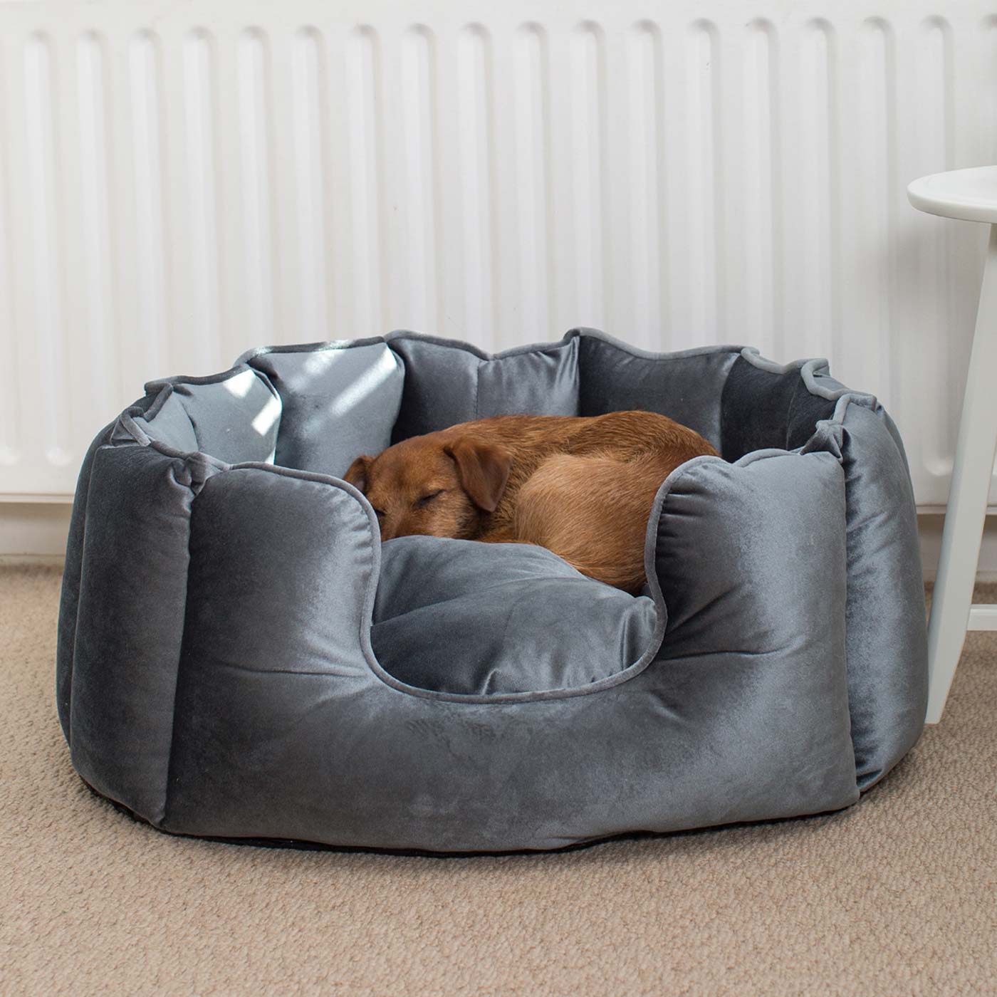Discover Our Luxurious High Wall Velvet Bed For Dogs, Featuring inner pillow with plush teddy fleece on one side To Craft The Perfect Dogs Bed In Stunning Elephant Velvet! Available To Personalise Now at Lords & Labradors 