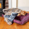Dog & Puppy Blanket in Elephant Velvet & Wolf Faux Fur by Lords & Labradors