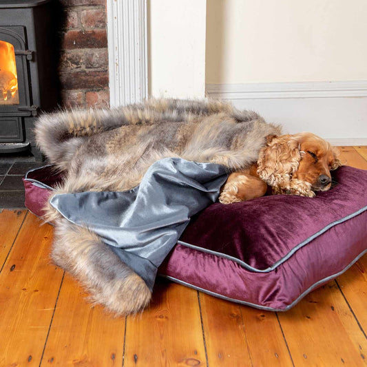 Dog Layed Next to The Fire Place With Elephant & Wolf Faux Fur Dog & Puppy Blanket