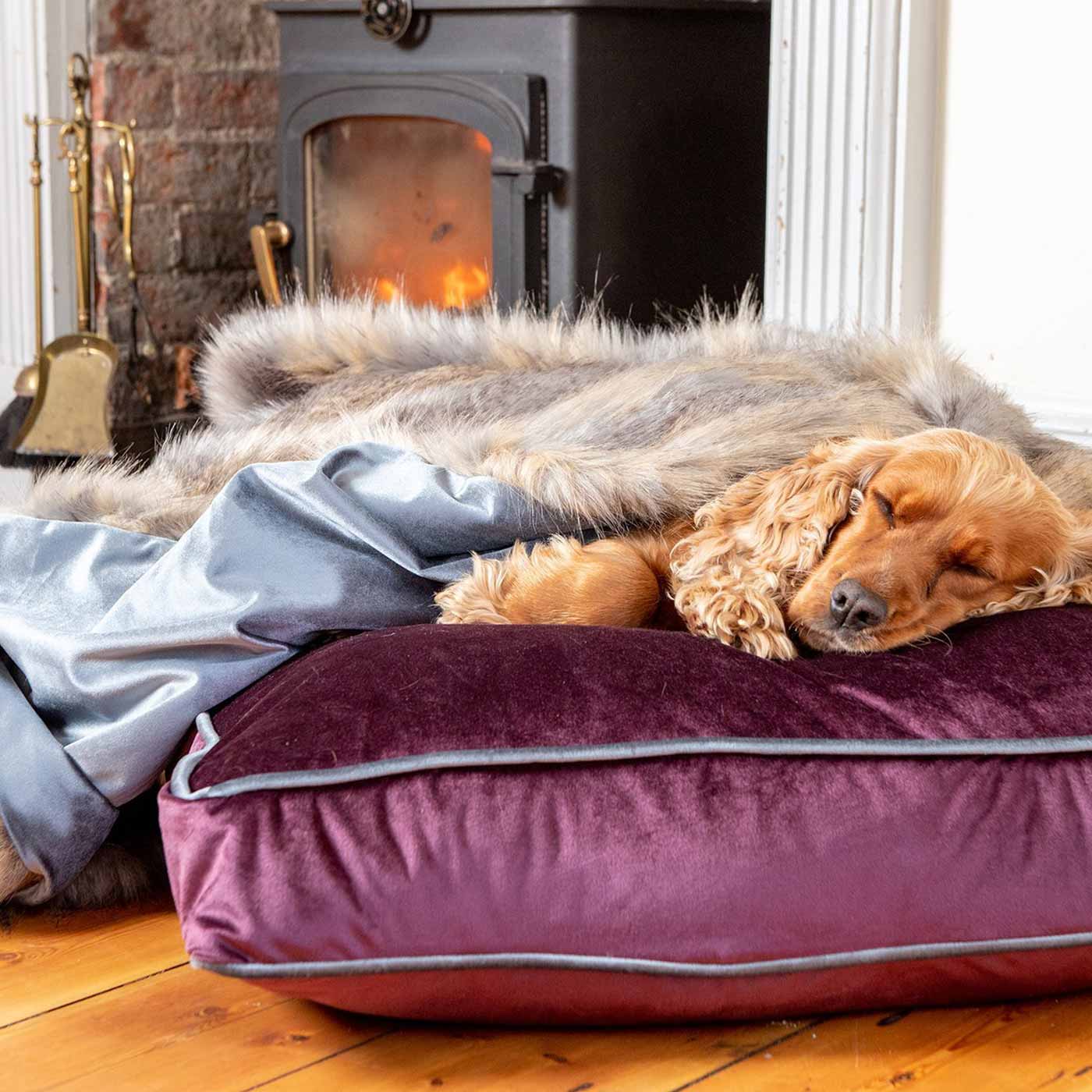 Luxury Velvet Pet Blanket, In Stunning Elephant & Wolf Faux Fur The Perfect Blanket For Dogs, Available To Personalise at Lords & Labradors