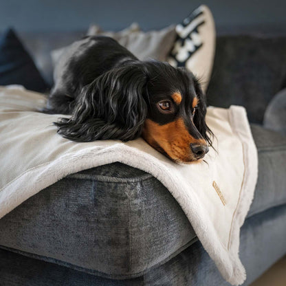 Present your furry friend with our luxuriously thick, plush blanket for your pet. Featuring a reverse side with hardwearing woven fabric handmade in Italy for the perfect high-quality pet blanket! Essentials Twill Blanket In Linen, Available now at Lords & Labradors    