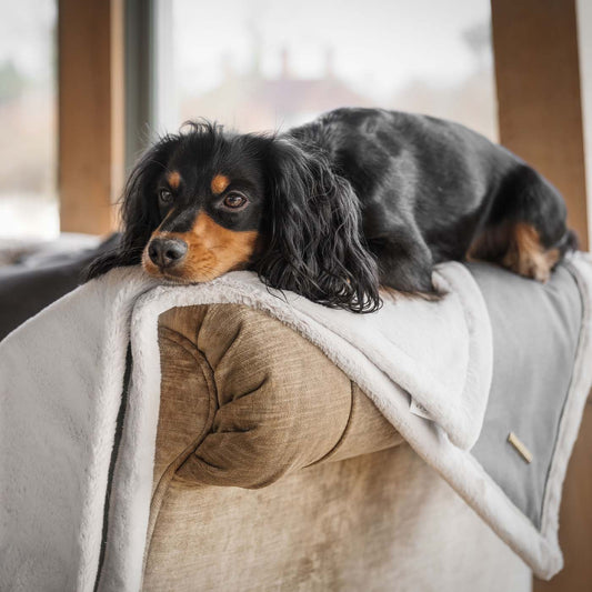 Present your furry friend with our luxuriously thick, plush blanket for your pet. Featuring a reverse side with hardwearing woven fabric handmade in Italy for the perfect high-quality pet blanket! Essentials Twill Blanket In Slate, Available now at Lords & Labradors    