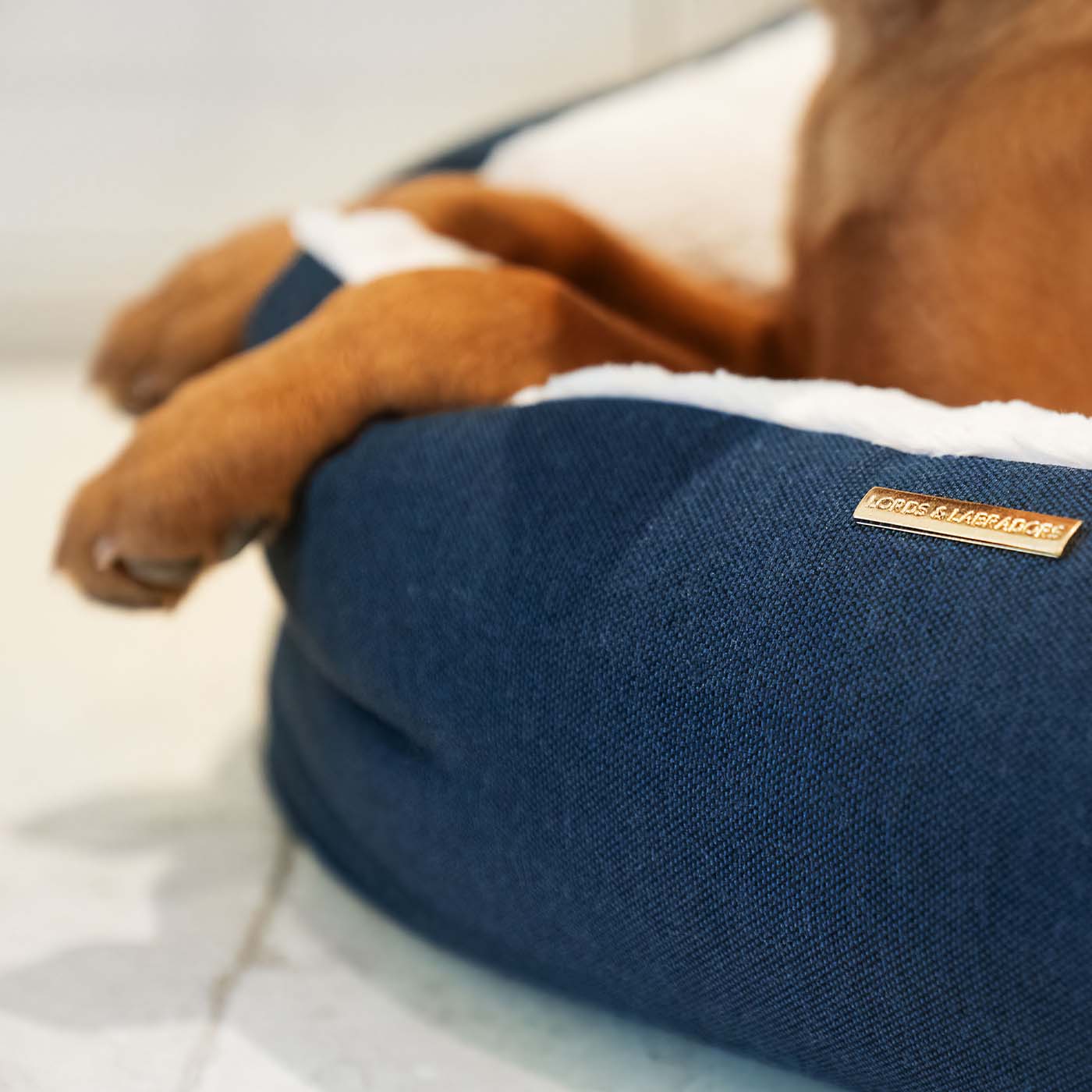 Discover This Luxurious Box Bed For Dogs, Made Using Beautiful Twill Fabric To Craft The Perfect Dog Box Bed! In Stunning Navy Denim, Available Now at Lords & Labradors    