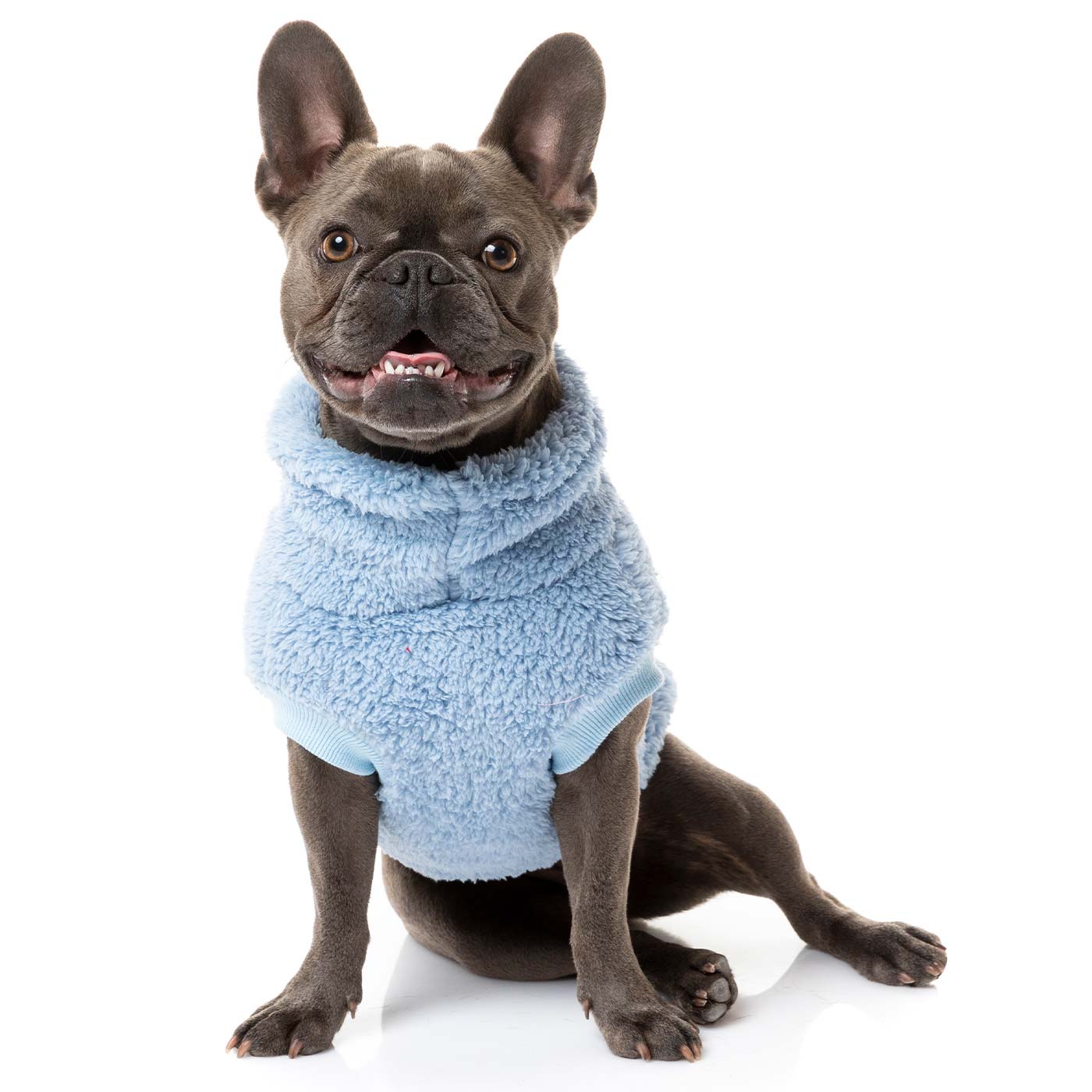 [colour:kp blue]  Discover FuzzYard Turtle Teddy Sweater, available in five colours and six sizes. Now available at Lords and Labradors
