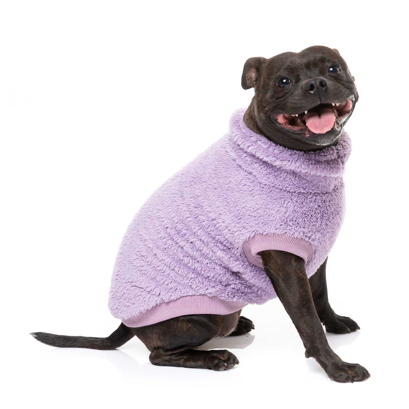 [colour:lilac]  Discover FuzzYard Turtle Teddy Sweater, available in five colours and six sizes. Now available at Lords and Labradors