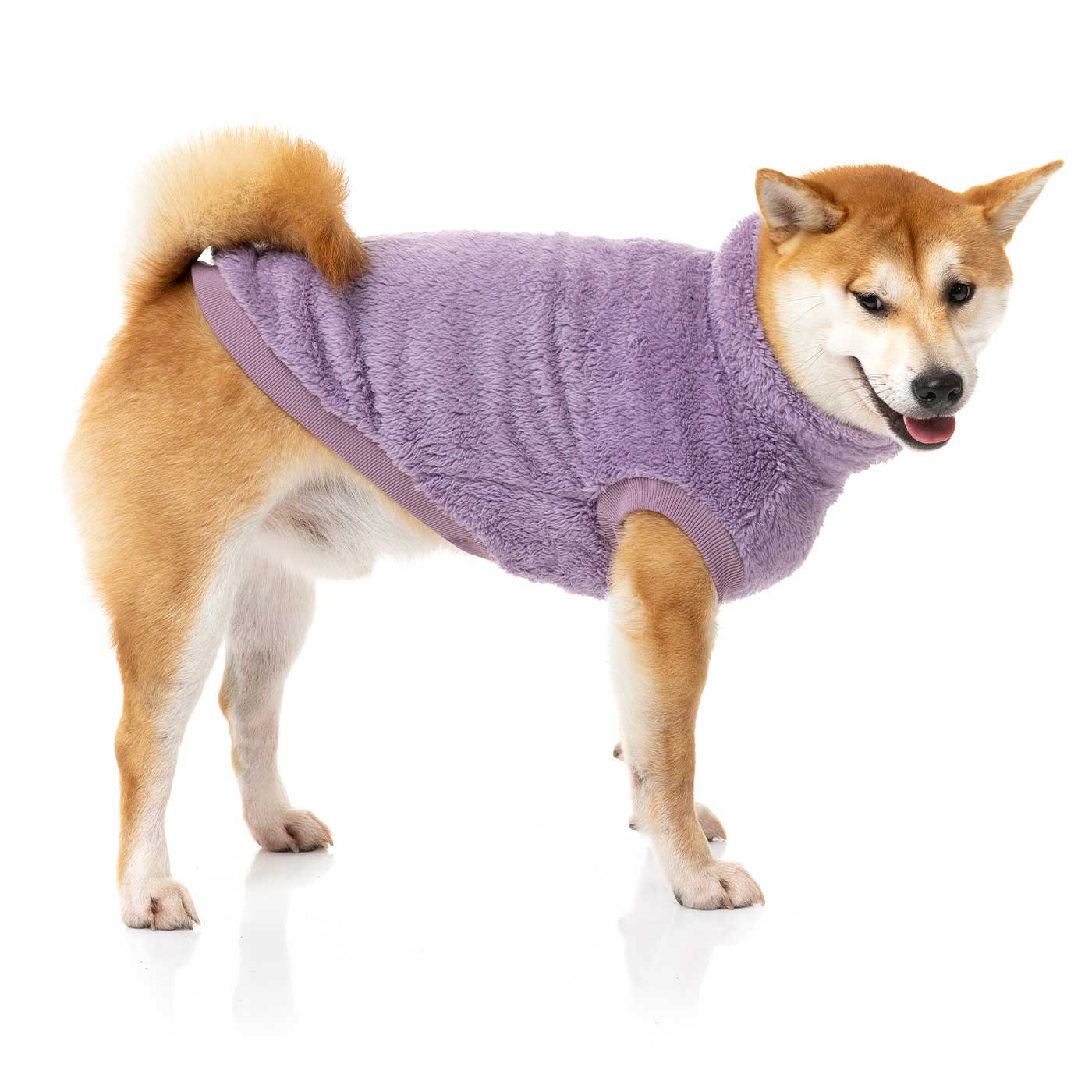 [colour:lilac]  Discover FuzzYard Turtle Teddy Sweater, available in five colours and six sizes. Now available at Lords and Labradors