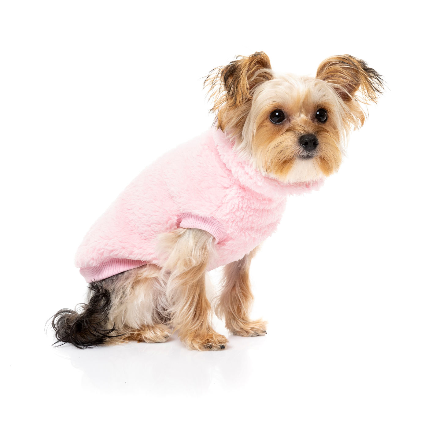 [colour:kp pink]  Discover FuzzYard Turtle Teddy Sweater, available in five colours and six sizes. Now available at Lords and Labradors