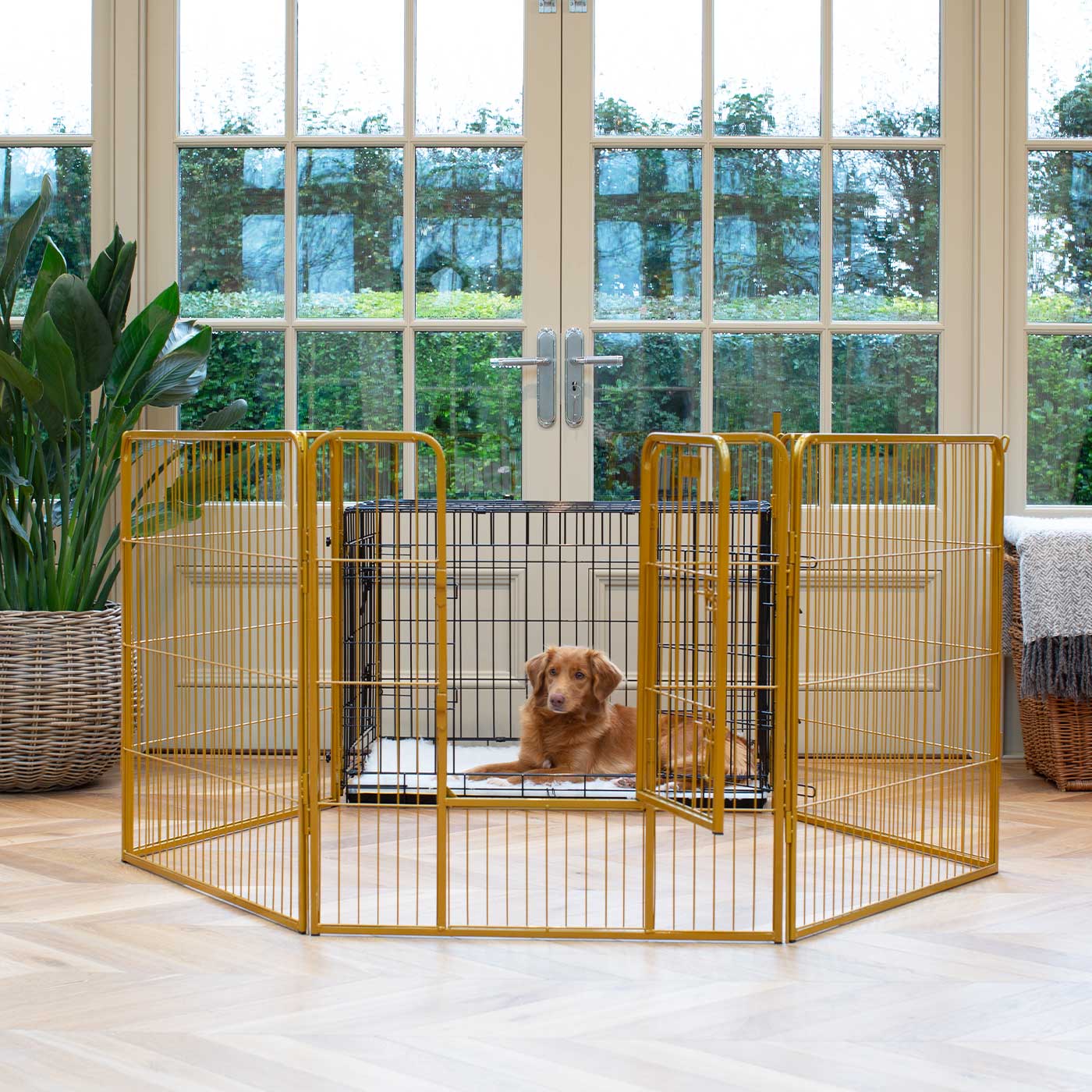 Indoor Dog Fence Dog Crate With Pen Gold 80cm High Puppy Play Pen