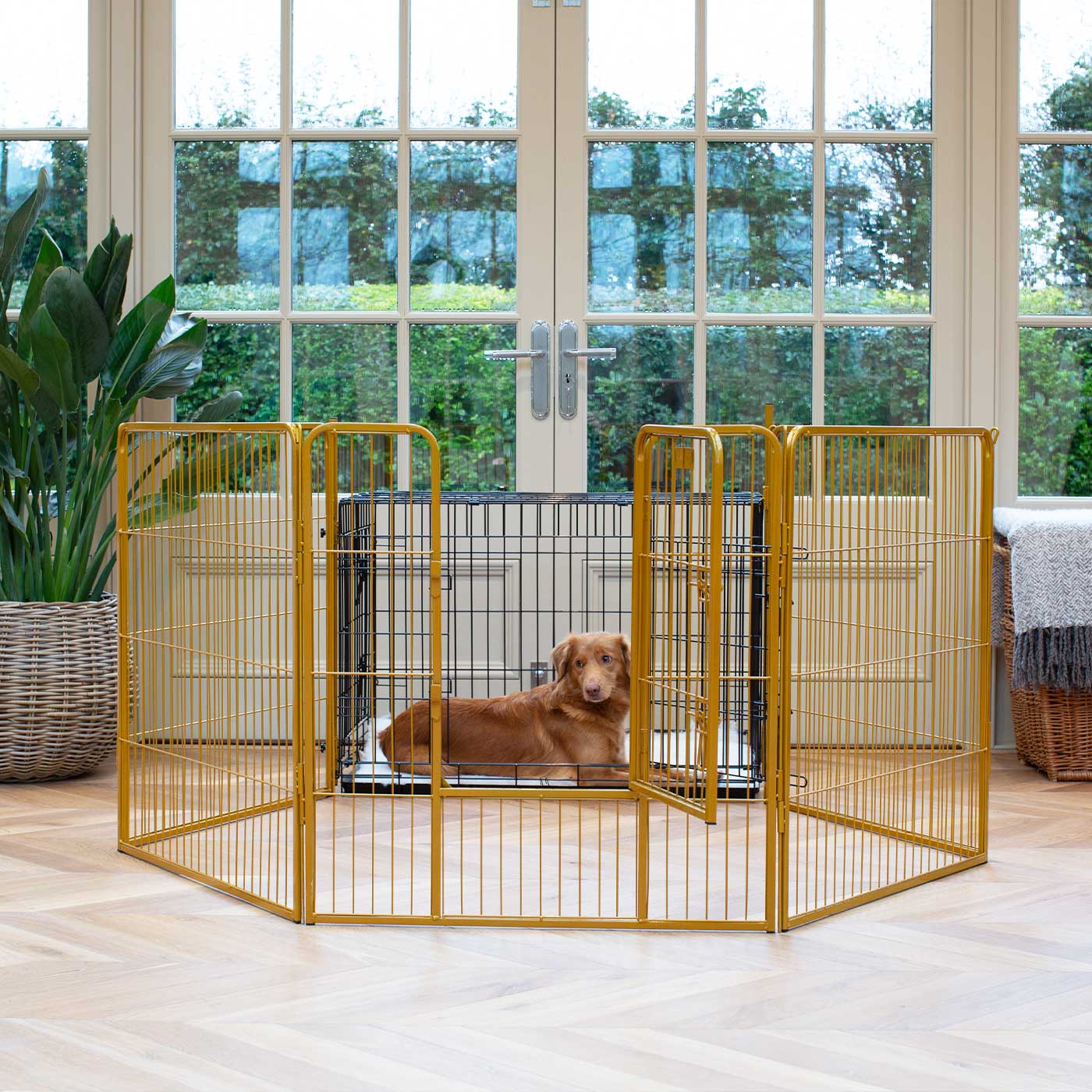 Dog Playpen Best Crate Toys For Dogs Gold 80cm High Puppy Play