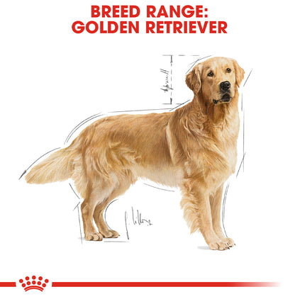 Royal Canin Golden Retriever Adult Dog Food 3KG