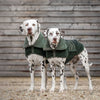 Bamboo Drying Coat in Fir by Lords & Labradors