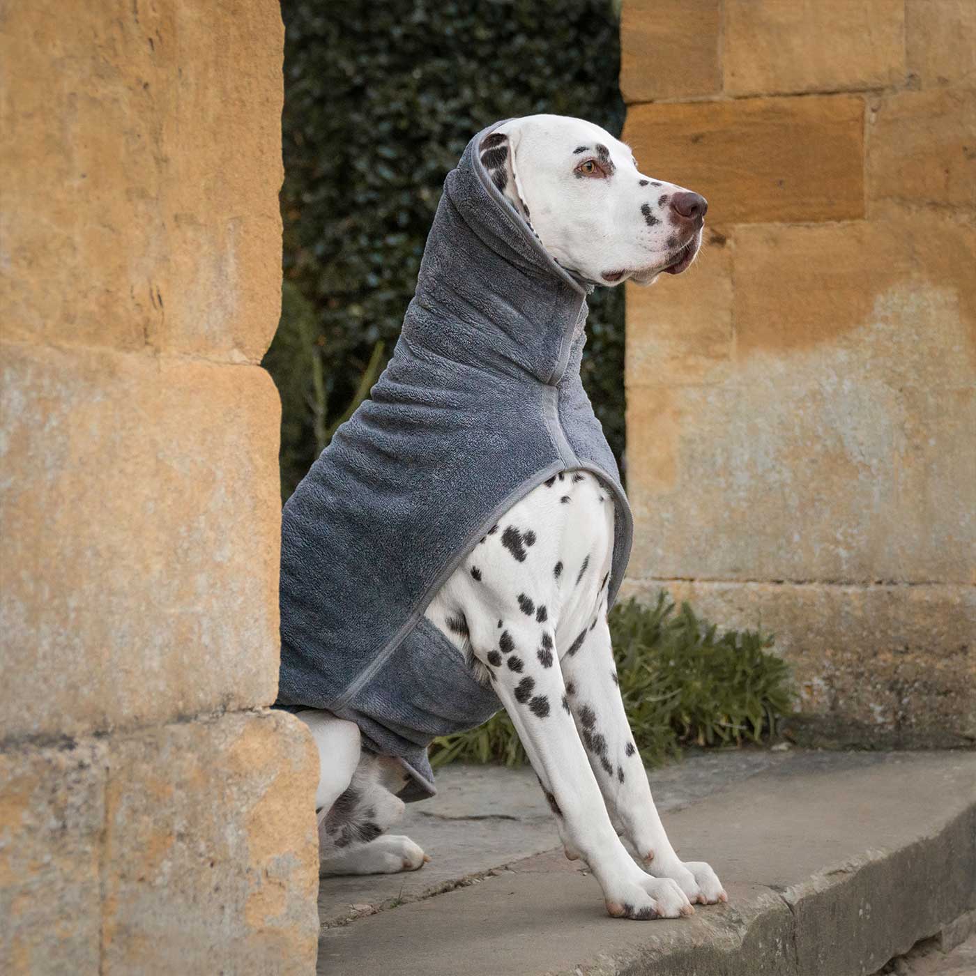 Introducing the ultimate bamboo dog drying coat in beautiful grey Gun Metal, made from luxurious bamboo to aid sensitive skin featuring adjustable Velcro neck and waist fastening with super absorbent material for easy pet drying! Available now at Lords & Labradors In five sizes and four colours to suit all breeds! 