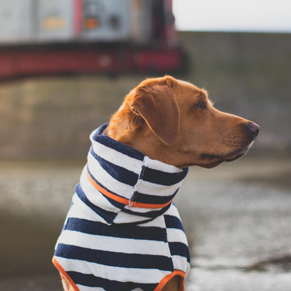 Harbour Hounds blue stripe drying robe Labrador side view