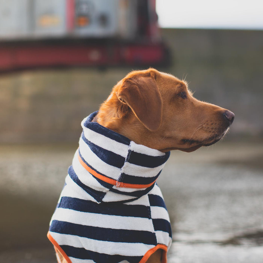 Orange Stripe Drying Coat Harbour Hounds Lords & Labradors