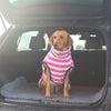 Harbour Hounds Pink Stripe Drying Coat