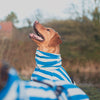 Harbour Hounds Sea Blue Stripe Drying Coat