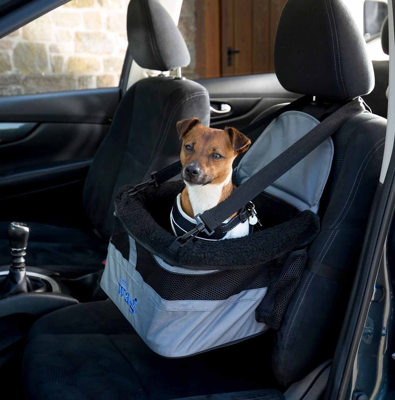 Henry Wag Car Booster Seat Lifestyle 