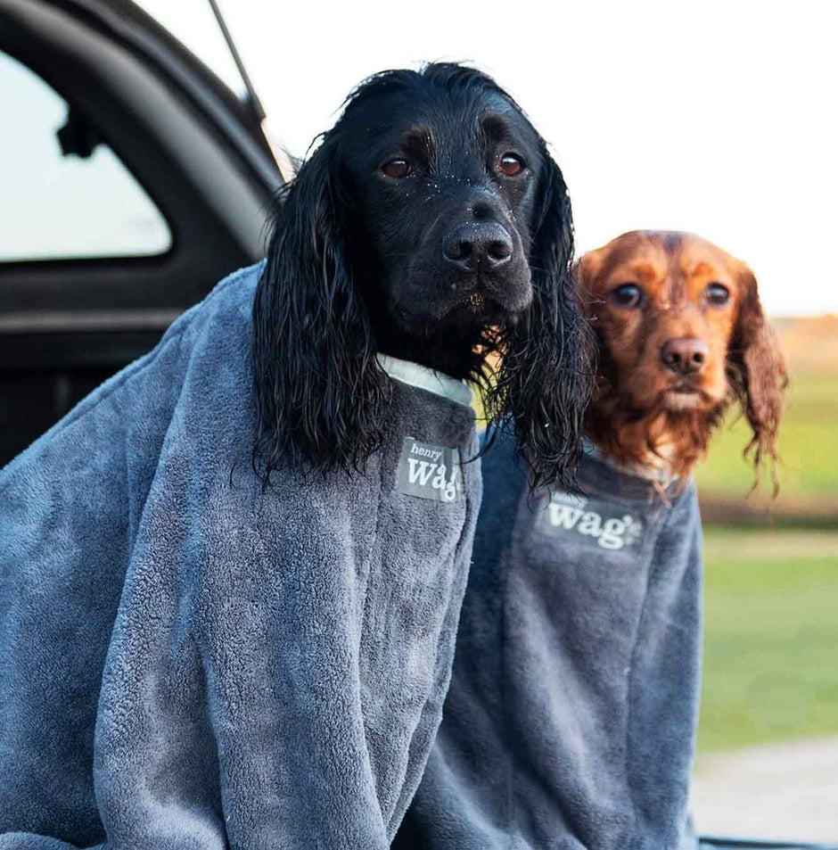 Drying Coat Henry Wag Travel Accessories Lords and Labradors