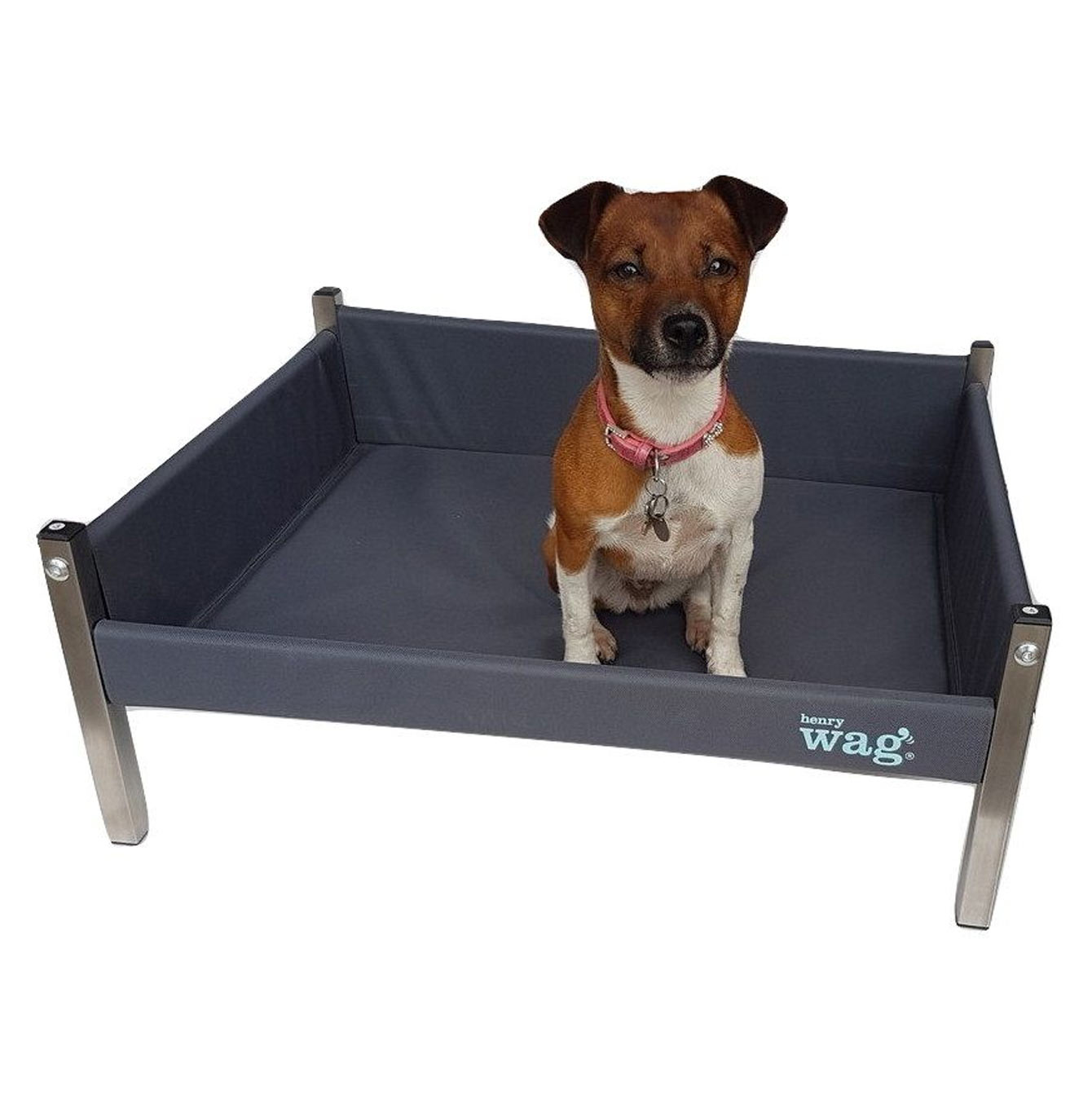 A dog bed shown from the front.