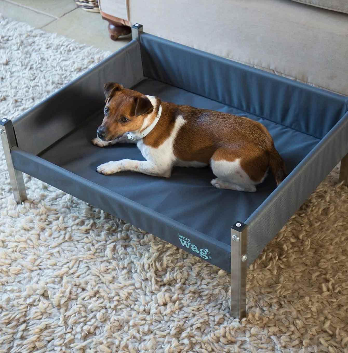 Henry Wag Elevated Dog Bed Lifestyle