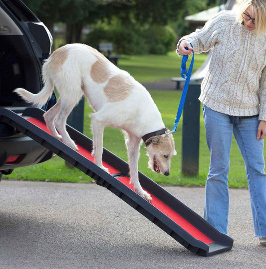 Henry Wag Lightweight Folding Pet Ramp