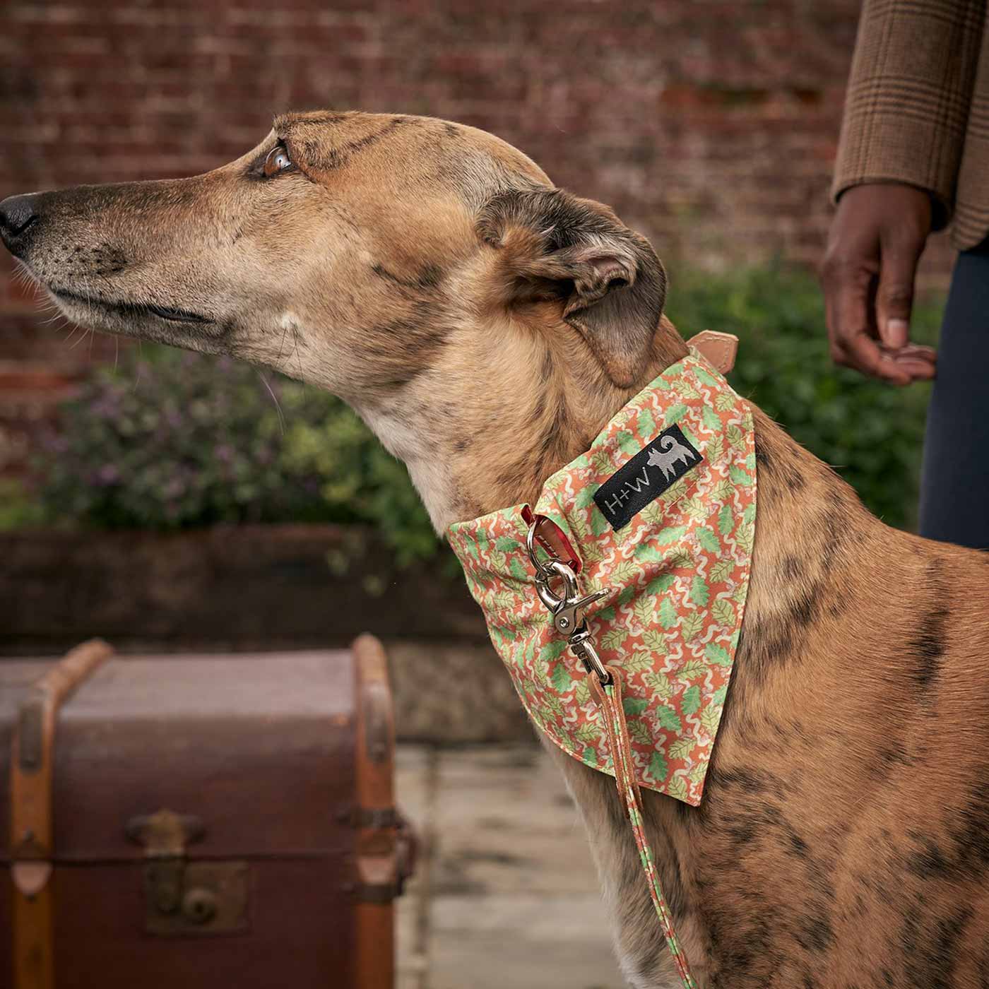 [colour:oak leaf] Set & accessorise your pooch ready for a stylish dog walk with Hiro + Wolf X L&L Dog Bandana, the perfect dog walking accessory! Made using strong webbing lining to provide extra strength! Available in 3 stylish designs and 2 sizes at Lords & Labradors