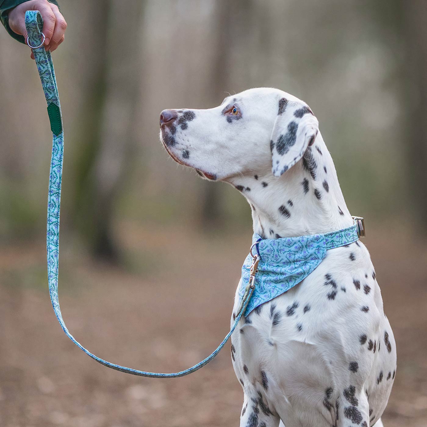 [colour:stag] Set & accessorise your pooch ready for a stylish dog walk with Hiro + Wolf X L&L Dog Bandana, the perfect dog walking accessory! Made using strong webbing lining to provide extra strength! Available in 3 stylish designs and 2 sizes at Lords & Labradors