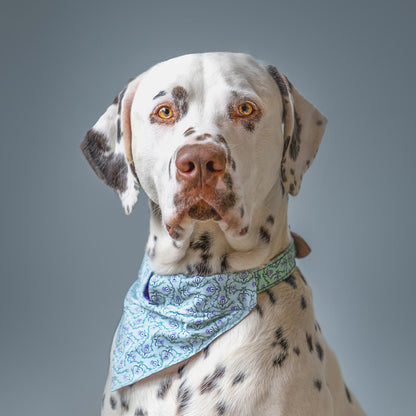 [colour:stag]  Set & accessorise your pooch ready for a stylish dog walk with Hiro + Wolf X L&L Dog Bandana, the perfect dog walking accessory! Made using strong webbing lining to provide extra strength! Available in 3 stylish designs and 2 sizes at Lords & Labradors