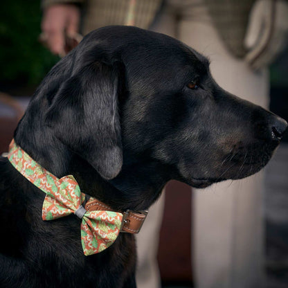 [colour:oak leaf] Set & accessorise your pooch ready for a stylish dog walk with Hiro + Wolf X L&L Dog Bow Tie, the perfect dog walking accessory! Made using strong webbing lining to provide extra strength! Available in 3 stylish designs and one sizes at Lords & Labradors