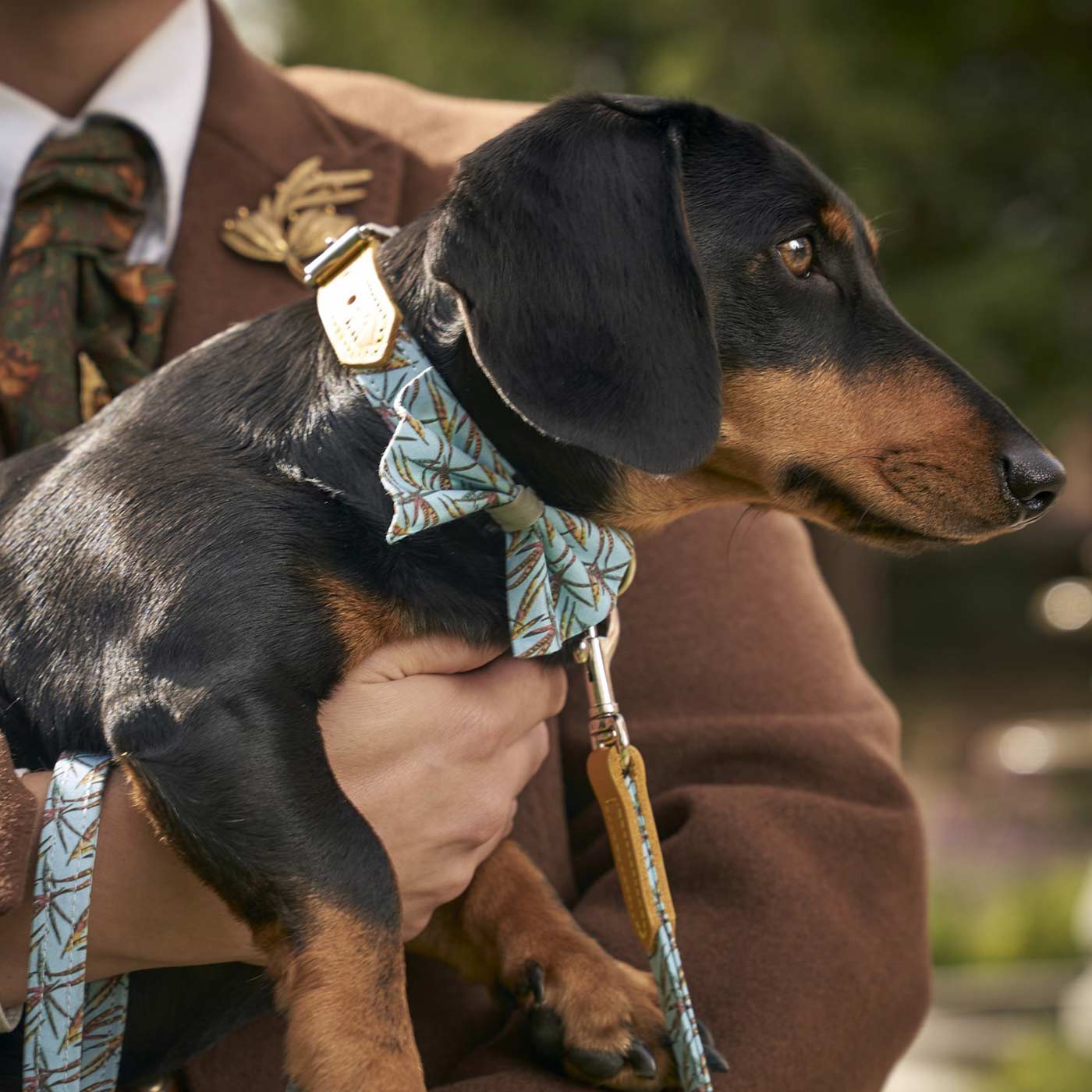 [colour:pheasant] Set & accessorise your pooch ready for a stylish dog walk with Hiro + Wolf X L&L Dog Bow Tie, the perfect dog walking accessory! Made using strong webbing lining to provide extra strength! Available in 3 stylish designs and one sizes at Lords & Labradorsv