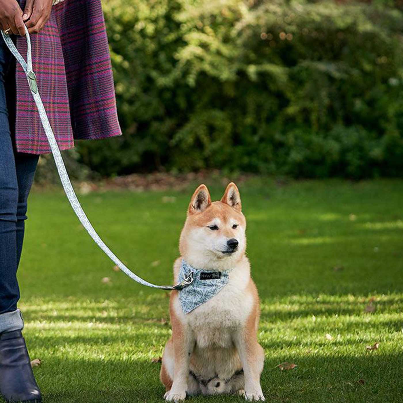 [colour:pheasant] Set & accessorise your pooch ready for a stylish dog walk with Hiro + Wolf X L&L Dog Lead, the perfect dog walking accessory! Made using strong webbing lining to provide extra strength! Available in 3 stylish designs and one sizes at Lords & Labradors