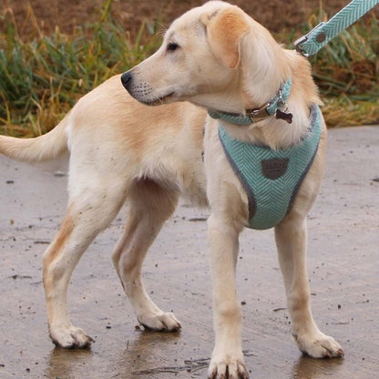 Hugo & Hudson Aqua Herringbone Dog Harness
