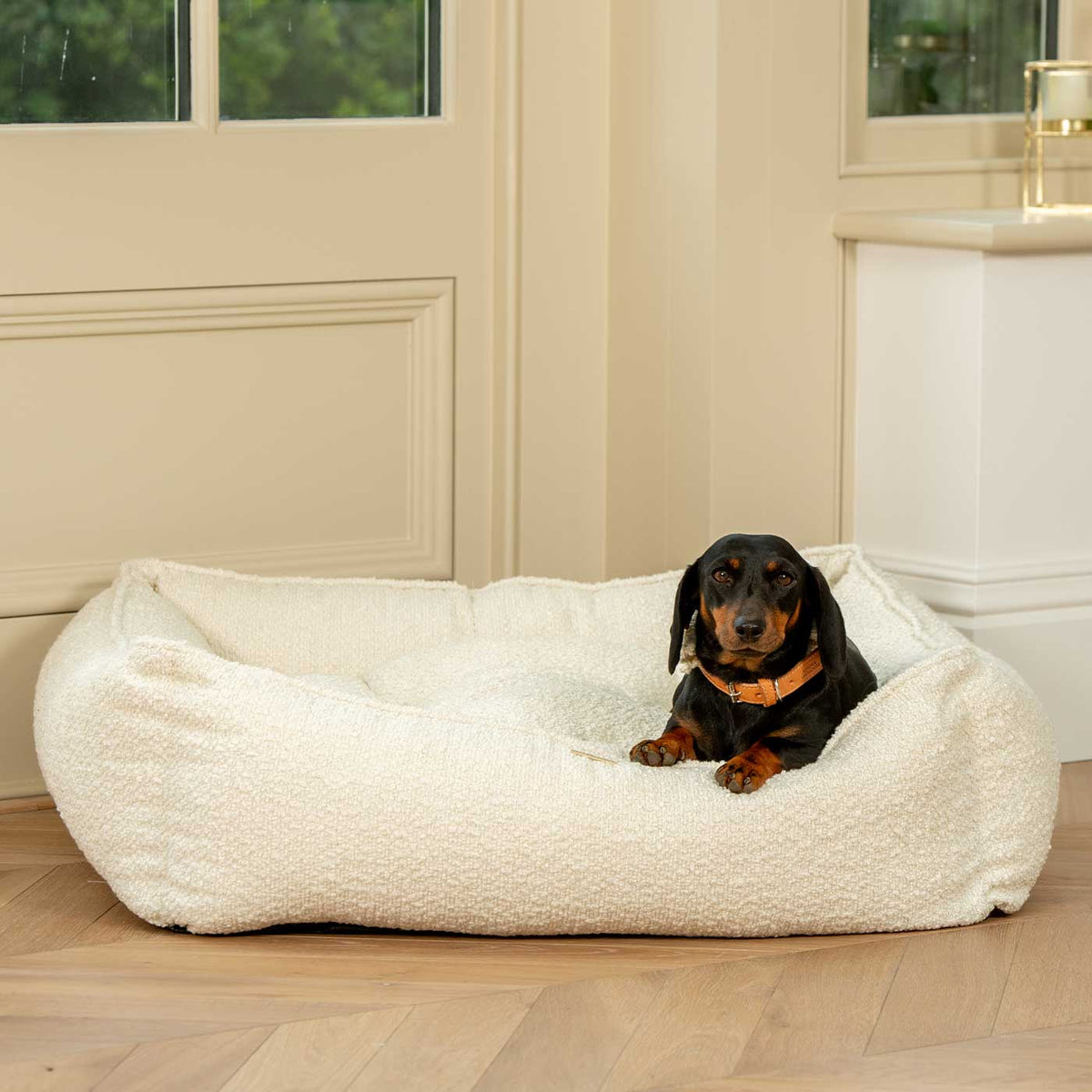 Dog Beds Cleaning Tips - Maggy Maid Los Angeles