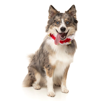 FuzzYard Jingle Bells Collar