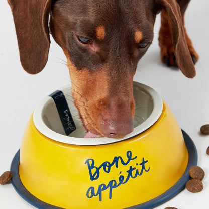 Joules Bone Appetit Dog Bowl