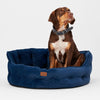 Joules Chesterfield Pet Bed