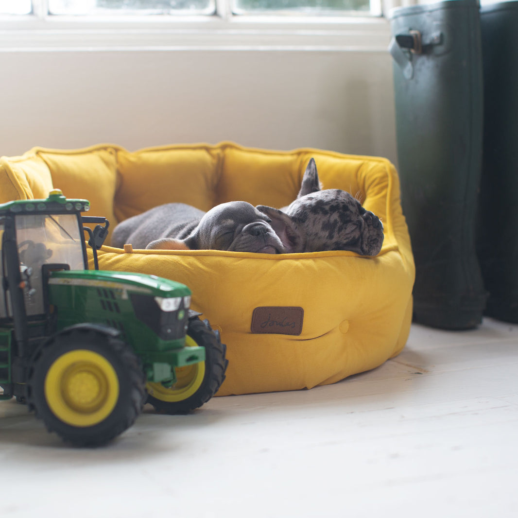 High Sided Dog Beds Calming High Walled Dog Beds Lords & Labradors