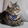 Joules 'Hello' Neckerchief Cat Collar