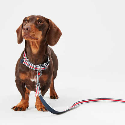 Joules Coastal Red & Navy Dog Lead