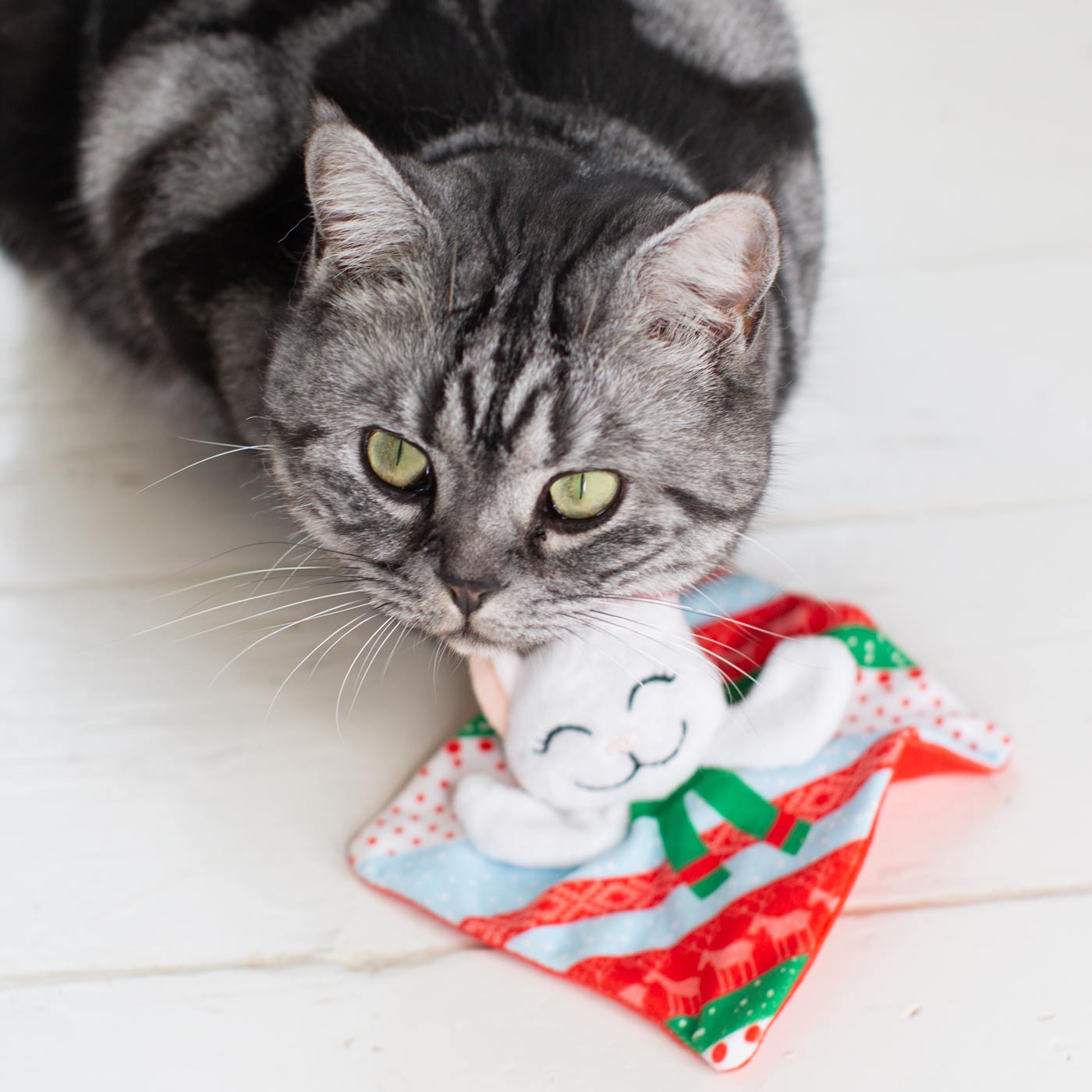 KONG holiday crackles santa kitty with cat looking at camera