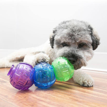 KONG Lock-It Balls Lifestyle Puppy Playing