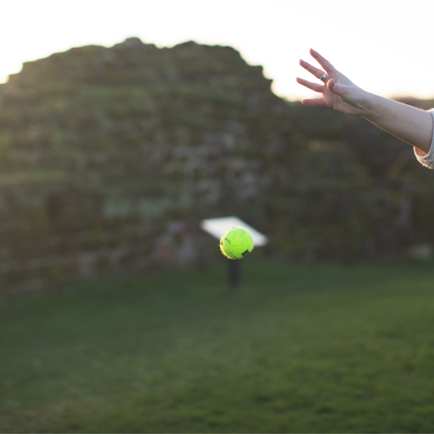 KONG squeakair tennis ball being dropped
