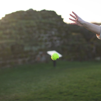 KONG squeakair tennis ball being dropped