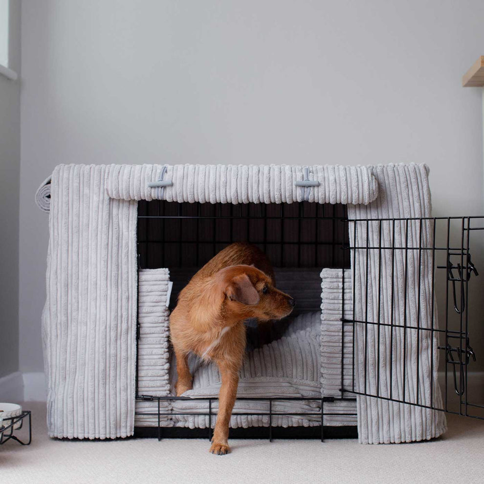 View of Light Grey Plush Crate Set | Dog Crate Set | Lords & Labradors