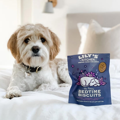 Lily's Kitchen Organic Bedtime Biscuits 80g