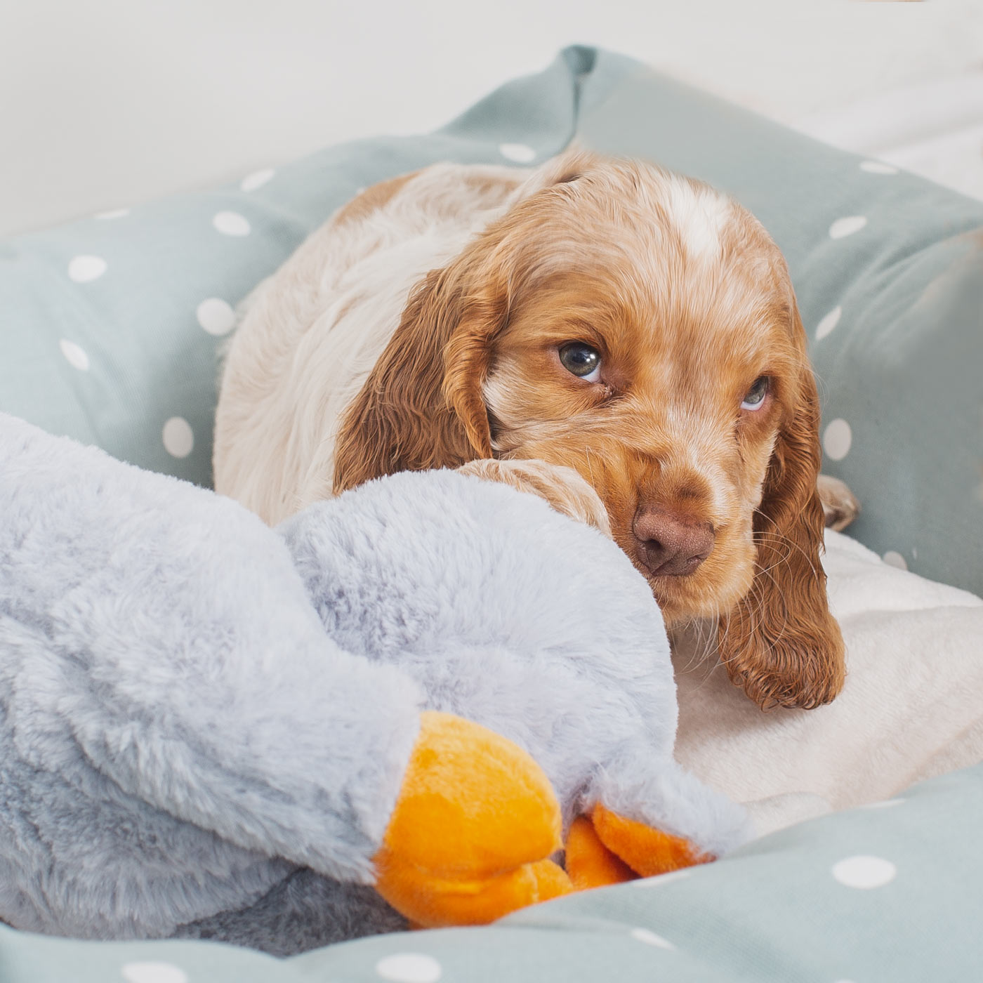 Heartbeat Puppy Toy - 3-in-1 Anxiety Relief With Breathing, Warmth & Real Heartbeat